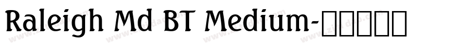 Raleigh Md BT Medium字体转换